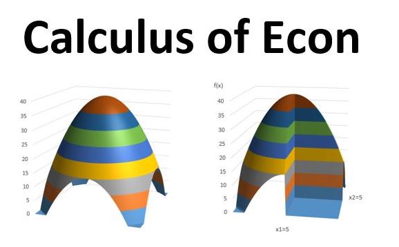 Calculus of Econ